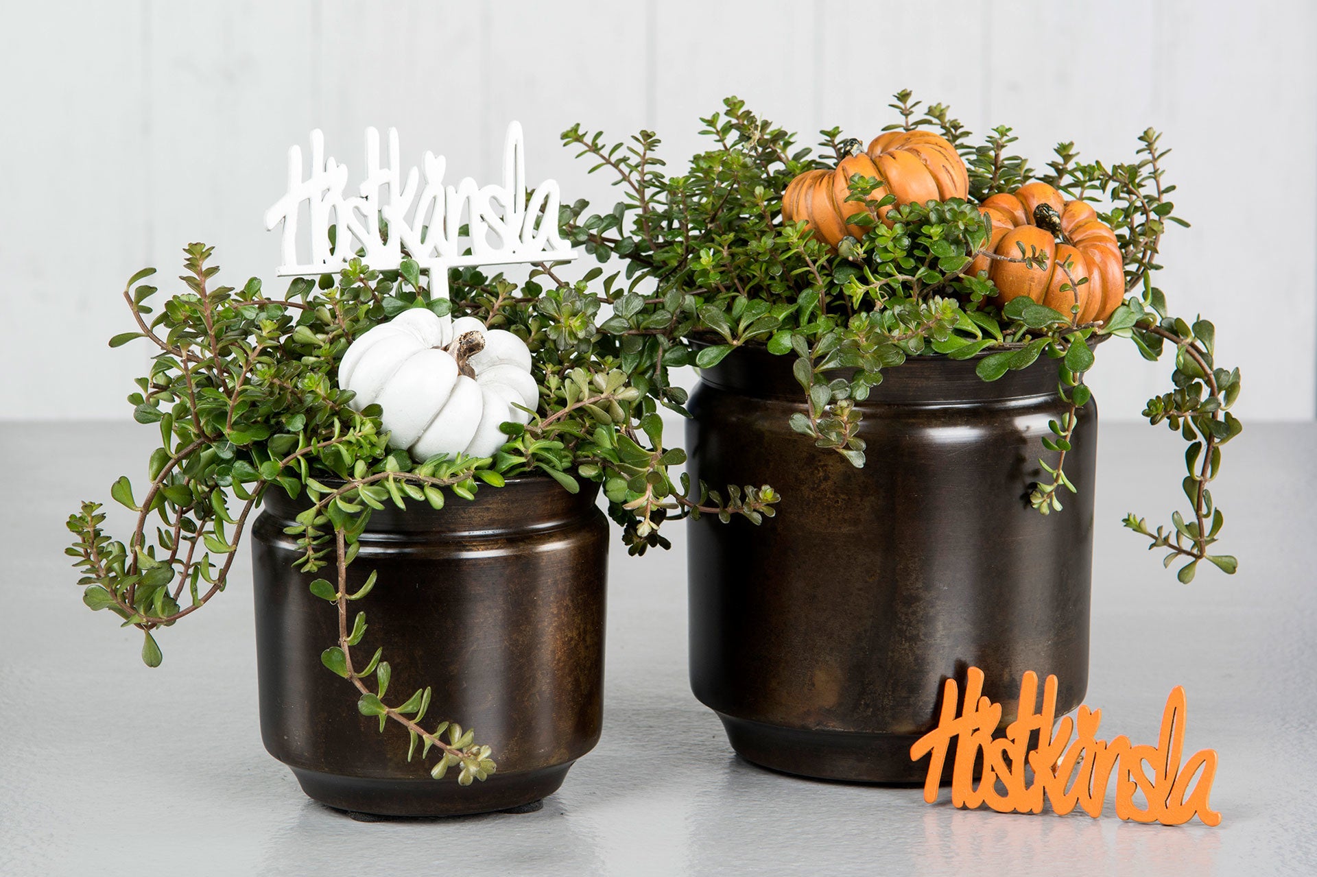 Pumpa Stick Orange Mix Poly - A Lot Decoration | Lilla Hem