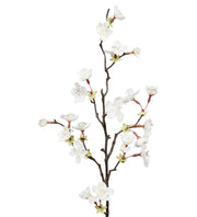 Körsbärsblom 60cm - Mr Plant hos Lilla Hem
