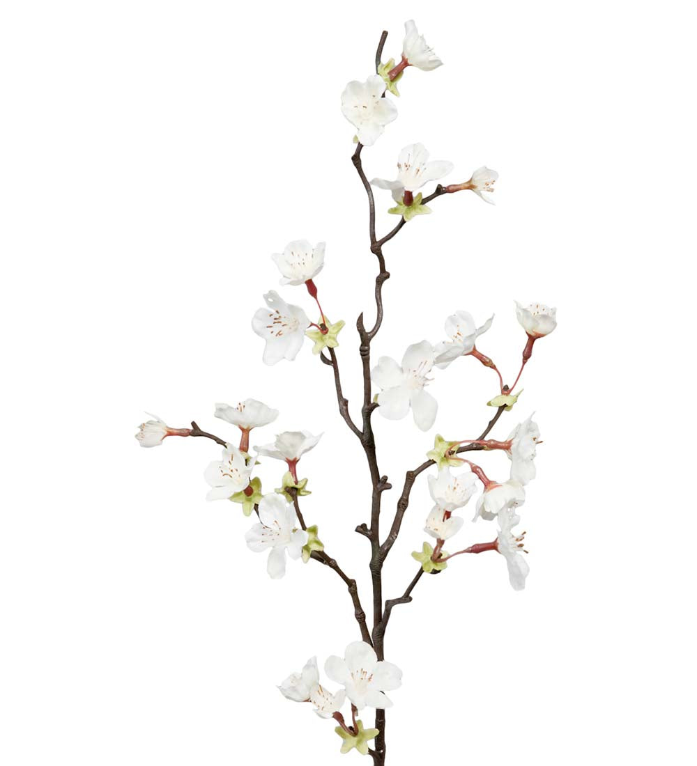 Körsbärsblom 60cm - Mr Plant hos Lilla Hem
