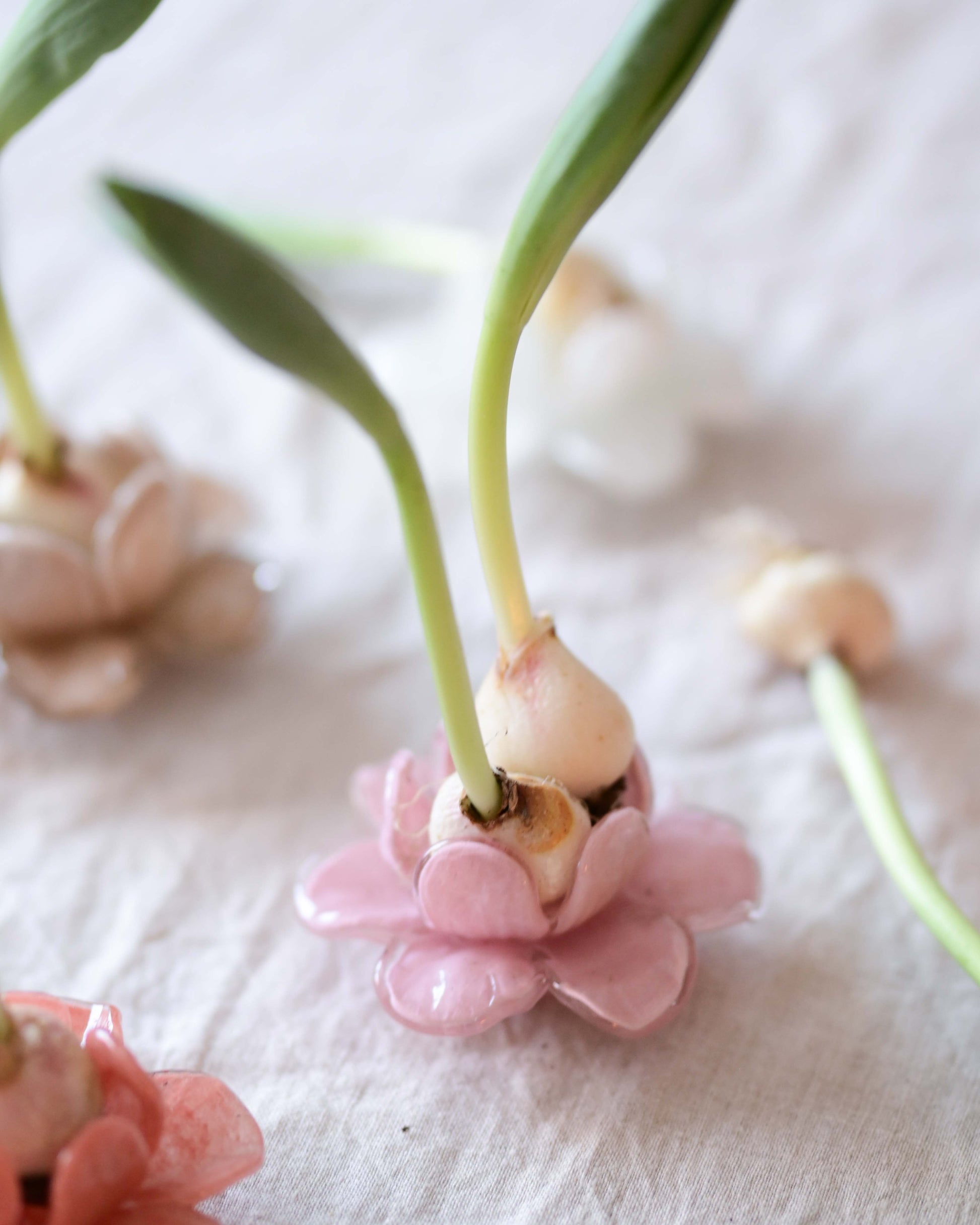 Flor Dekoration Blom Rosa 11x5cm - Wikholm Form | Lilla Hem