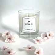 Doftljus Citrus klart glas 165g - The Friendly Home hos Lilla Hem