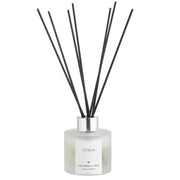 Doftpinnar Citrus frostat glas 100ml - The Friendly Home hos Lilla Hem