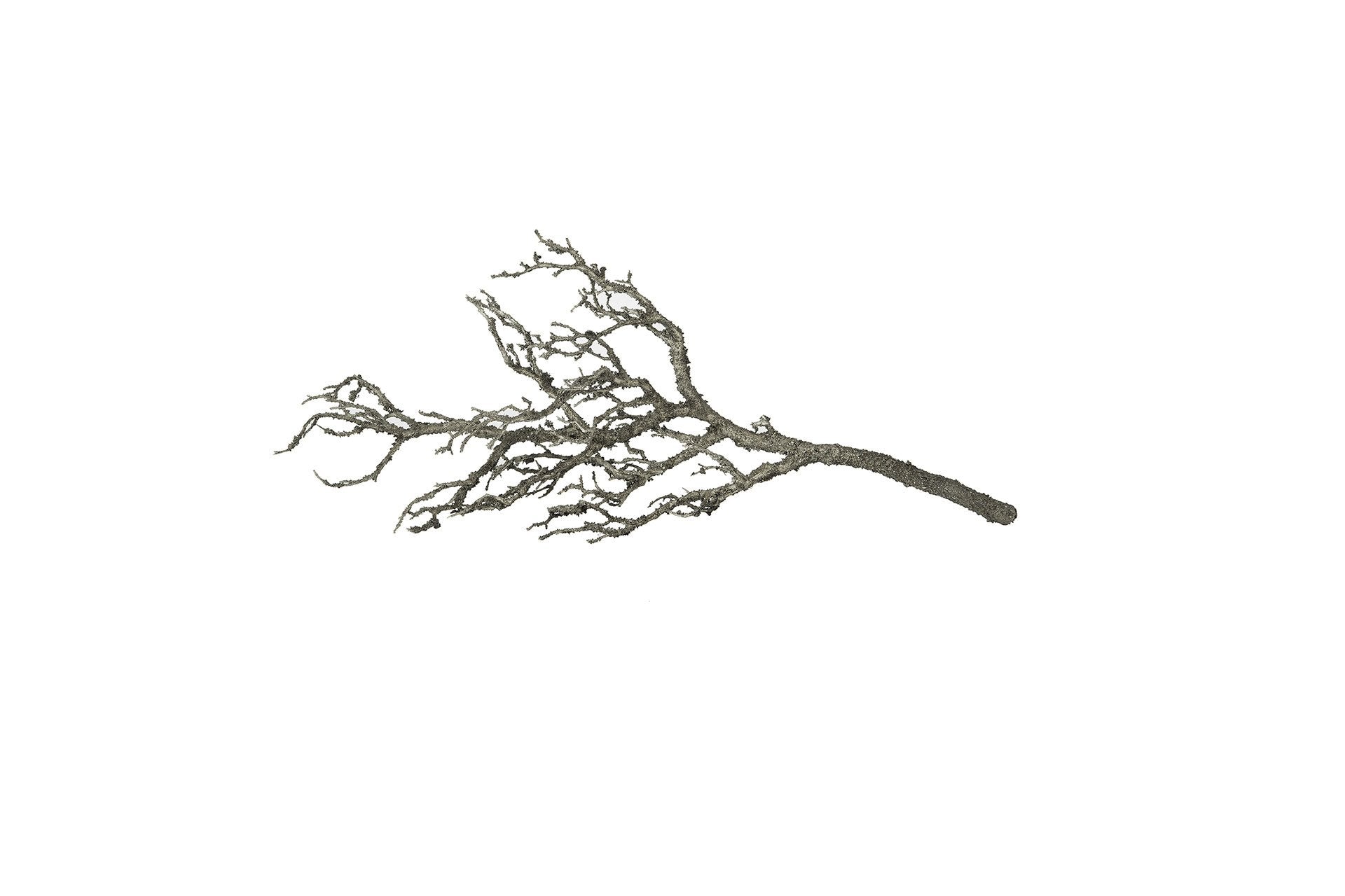 Konstväxt Trädgren från Alot Decoration - detalj | Lilla Hem