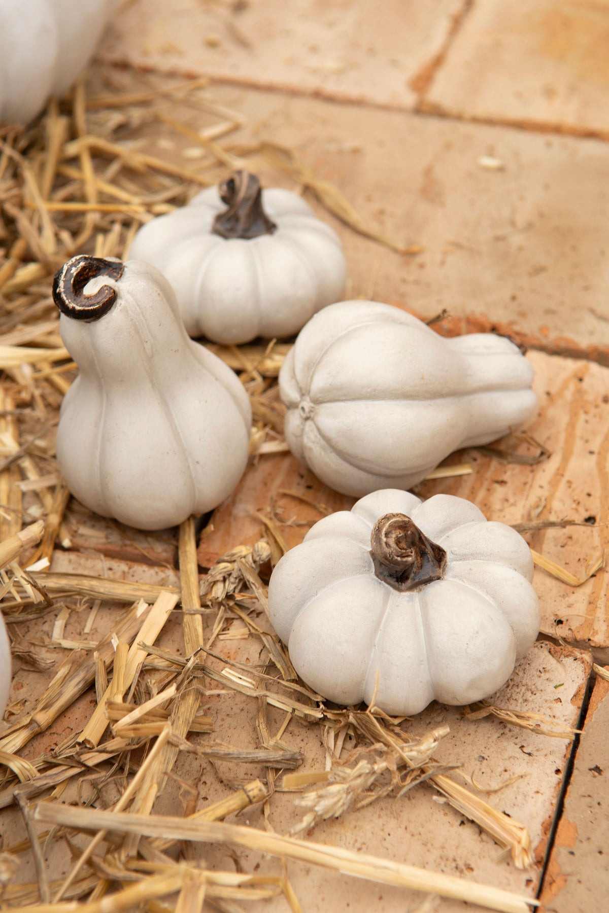 Fyra vita dekorativa pumpor i olika former på halm och korkunderlag | A Lot Decoration | Lilla Hem